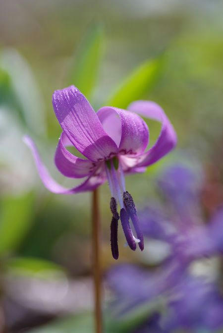 464453f6.jpg