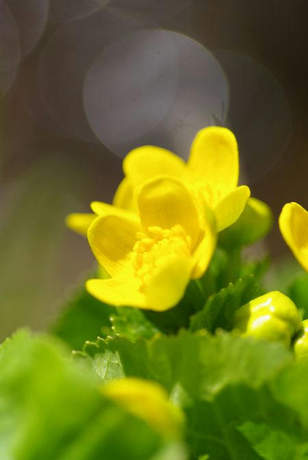 cf892f0a.jpg