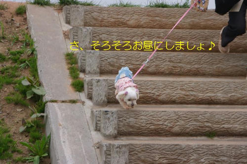 019f7f1d.jpg