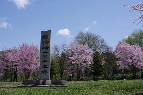 533a20f8.jpg