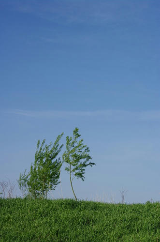 9895d7b0.jpg