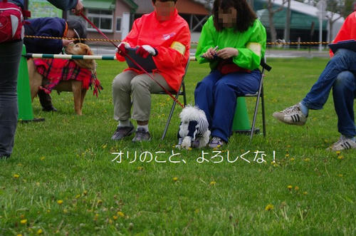 523d1d8b.jpg
