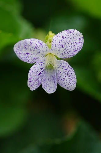 f4e92468.jpg