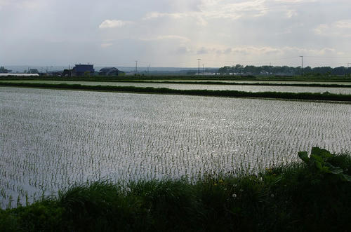e99975f3.jpg