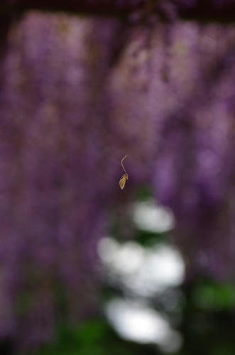 044f9611.jpg