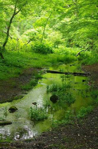 8f1c0356.jpg