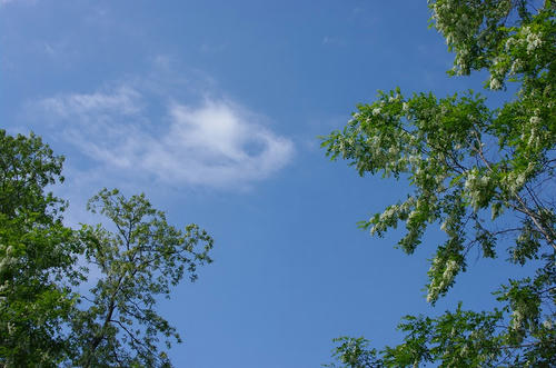 9531494e.jpg