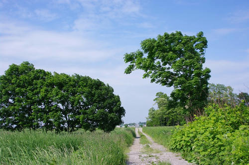 b7d639a2.jpg