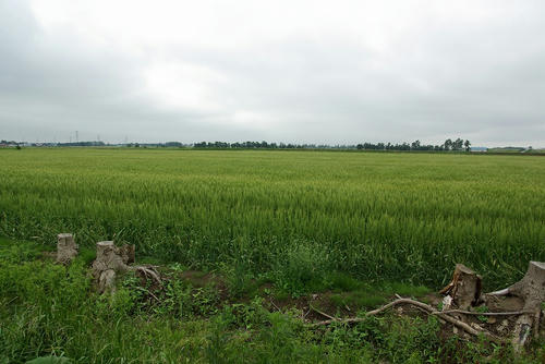 80e8d6fd.jpg
