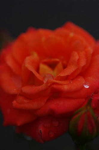 b0bc5862.jpg