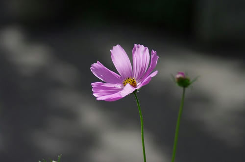 b95d4724.jpg
