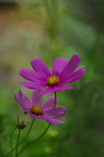 7142f02a.jpg
