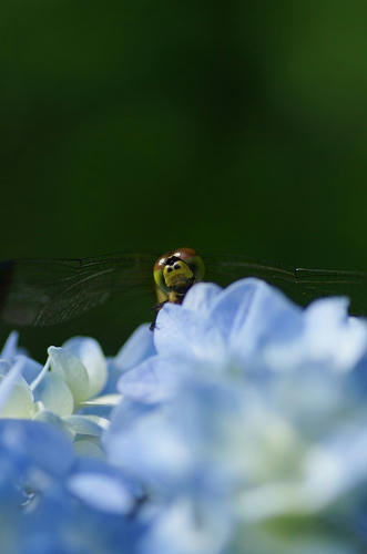 f55e8480.jpg
