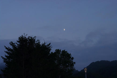 d3985563.jpg