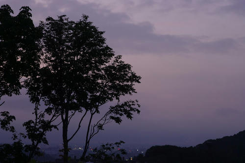 295ae0aa.jpg