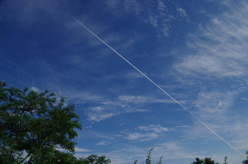 4b09a747.jpg