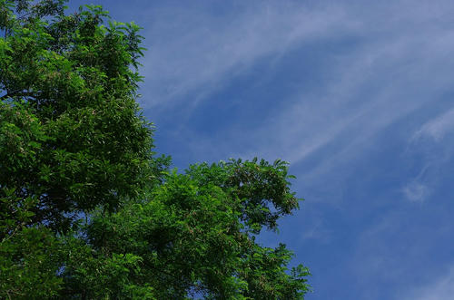 715f808a.jpg