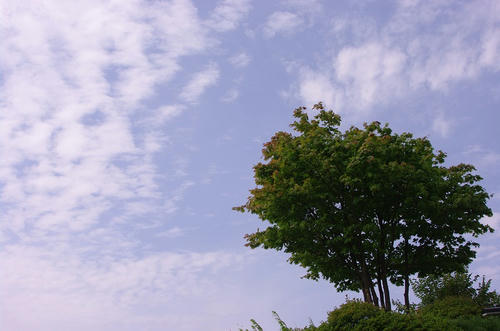 86b3d373.jpg