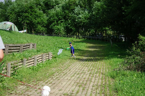 95a0518f.jpg