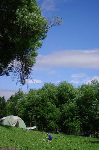 7ed38d2a.jpg