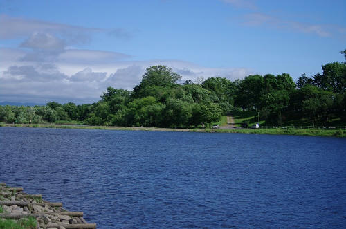 89b196cd.jpg