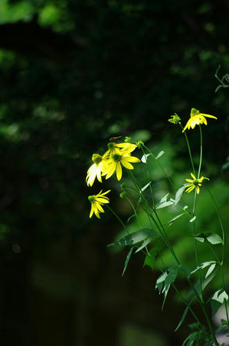 095911a9.jpg