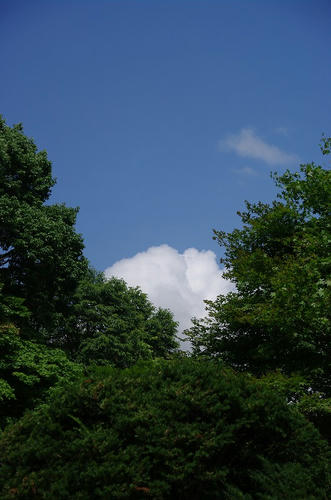 fa817c63.jpg