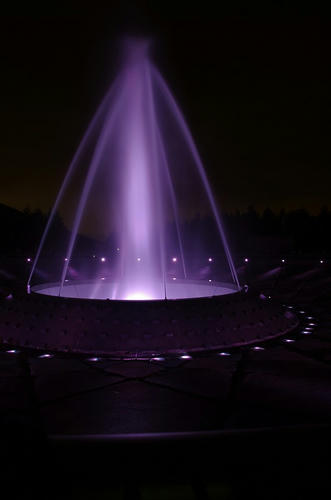 f037f3a3.jpg