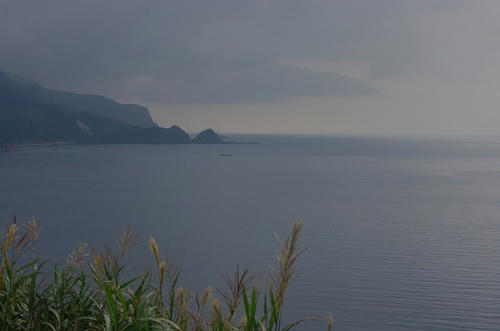c5e8a767.jpg