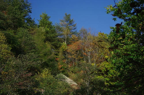 6c7f6396.jpg