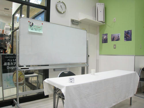 6a4d7953.jpg