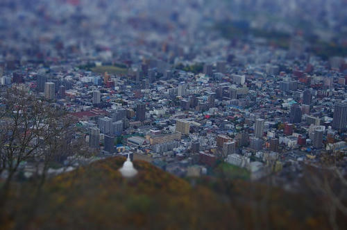 083-tiltshift.jpg