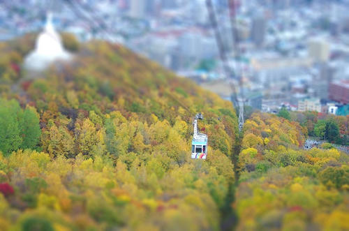 111-tiltshift.jpg