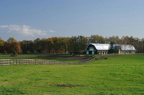 c24210e3.jpg