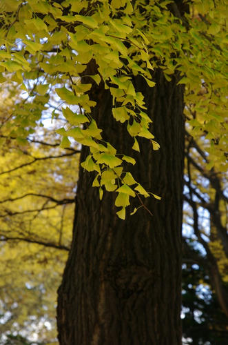 0a625253.jpg