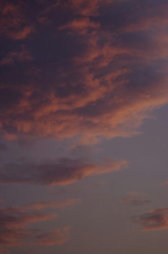 9a90f483.jpg