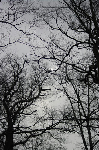 6062011a.jpg