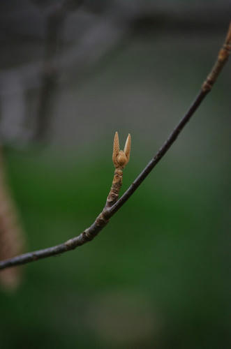4a791f95.jpg