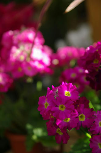 e14683c6.jpg