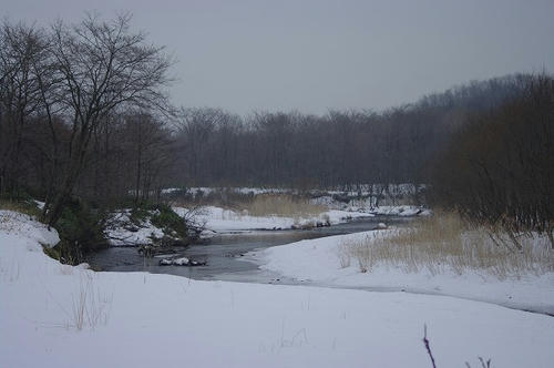 256.jpg