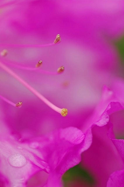 1a532d7a.jpg