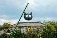 ねこさんには逃げられましたので