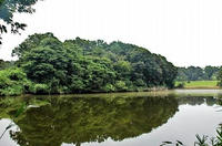 伝「山城沼砦」付近