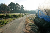 羽田城北側遺構か