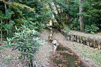 椿田城西側堀跡