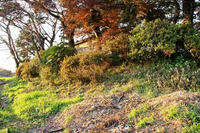 植野城遺構