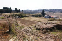 三城目城（タカナシ城）