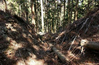 二ツ山城の堀切