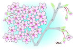 春　桜　ぬりえ
