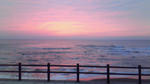 200811281605000.jpg